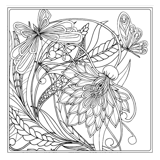 Birds &amp; Butterflies - Colouring for Mindfulness