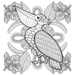 Birds &amp; Butterflies - Colouring for Mindfulness