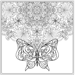 Birds &amp; Butterflies - Colouring for Mindfulness