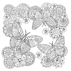 Birds &amp; Butterflies - Colouring for Mindfulness