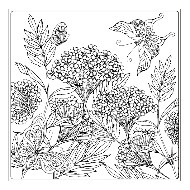 Birds &amp; Butterflies - Colouring for Mindfulness