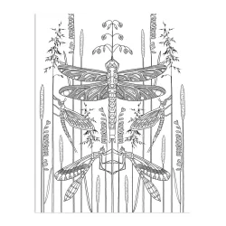 Wonderful Insects - coloring book 