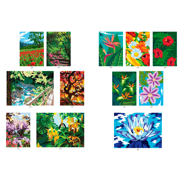 Paint-by-Numbers - Extraordinary Gardens