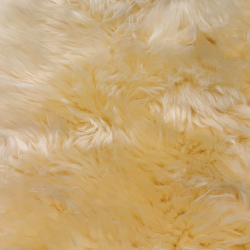 �gte Lammeskind 60x90cm - Golden Ivory