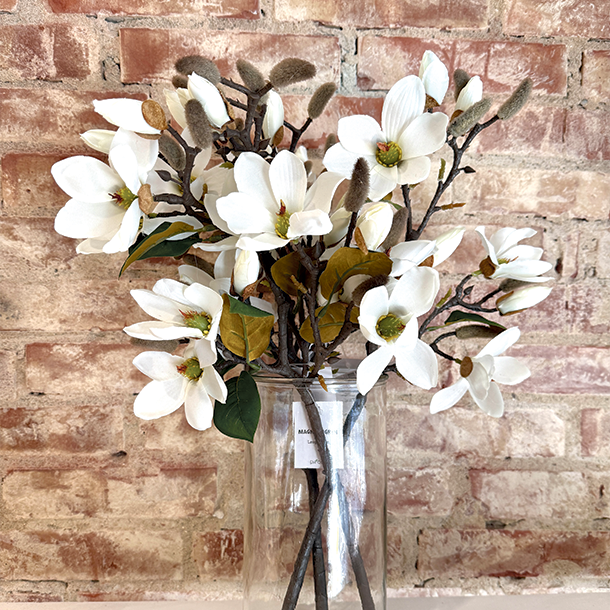 Magnolia Gren 52cm - Hvid