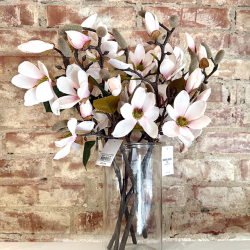 Magnolia Gren 52cm - Rosa