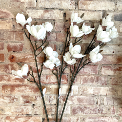 Magnolia Gren 92cm - Hvid