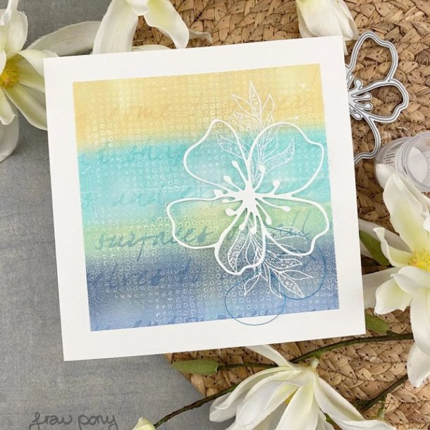 Gel Plate 15,24 x 15,24 cm