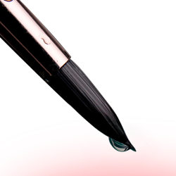 Pensels�t i foldeetui m. s�lvskaft - 25-Dele