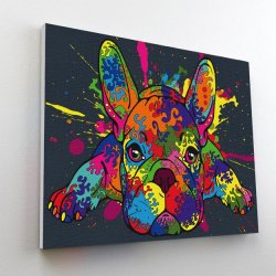 French Bulldog -  Paint by Numbers 40x30 cm