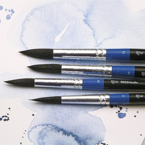 Rosa pensler - Squirrel