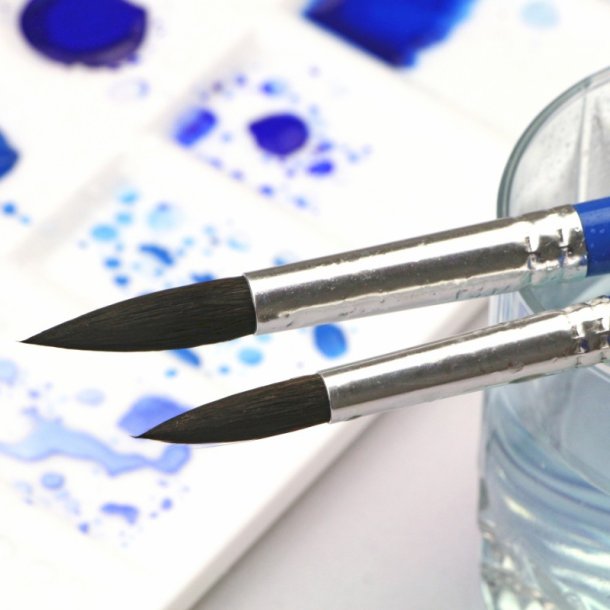 Rosa pensler - Squirrel