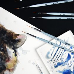 Rosa pensler - Stream