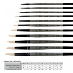 Rosa pensler - Terra