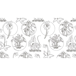 Wonderful Wildflowers Malebog - Over 75 Natural Wonders to Color and Explore