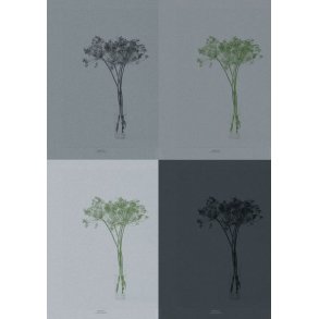 Plakater til køkken