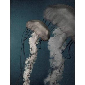 Plakater til sommerhus