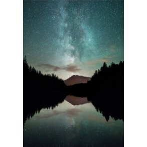 Plakater til soveværelset